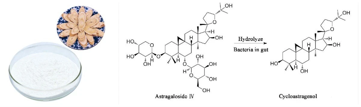 product-1200-358 Cycloastragenol 2