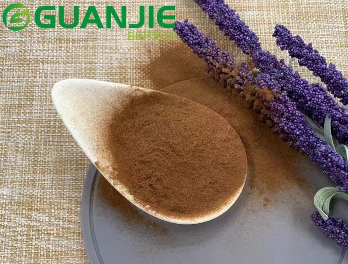 Rosemary extract powder Rosemary extract powder
